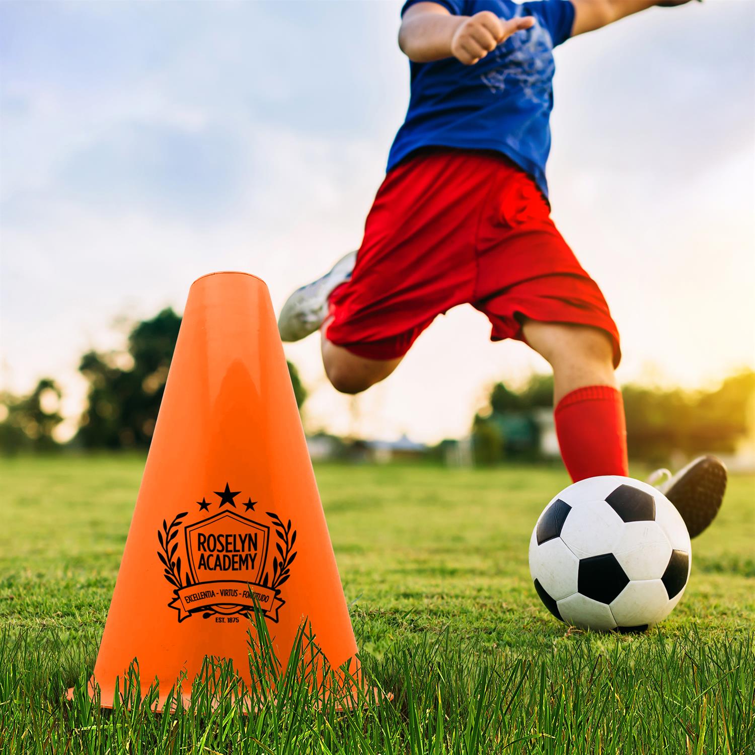 8" Agility Marker Cone