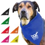Large Triangle Bandana