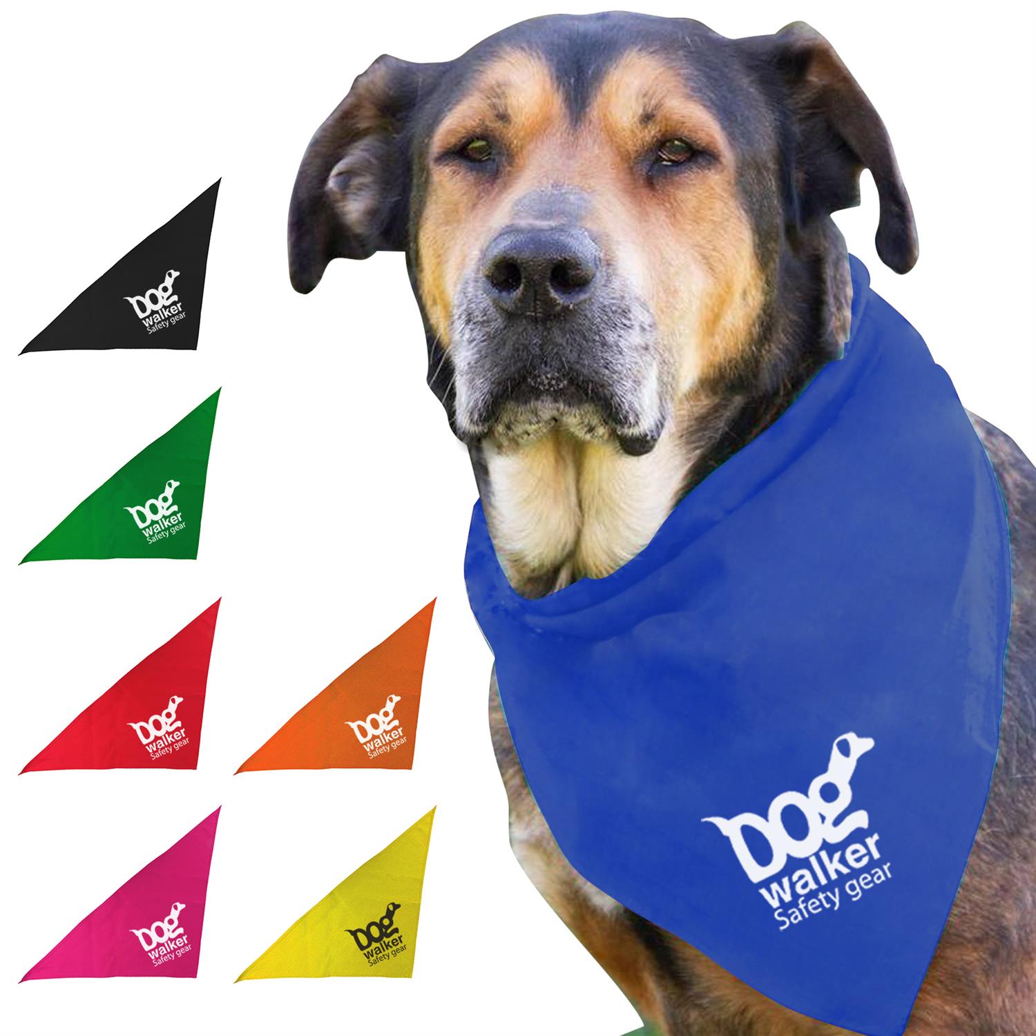 Large Triangle Bandana